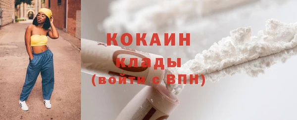 винт Алексин