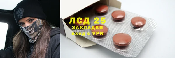 стафф Алзамай