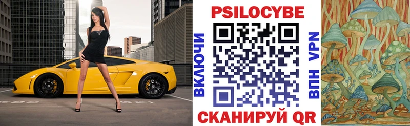 Галлюциногенные грибы Psilocybine cubensis  как найти закладки  Коркино 