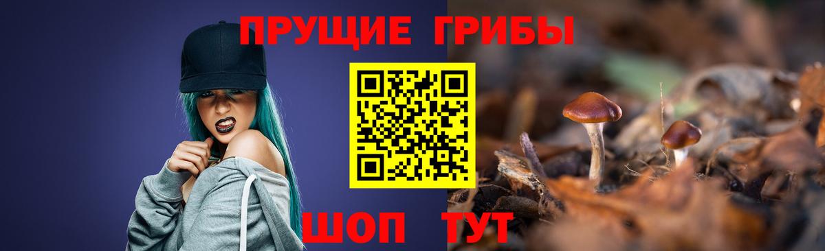 Псилоцибиновые грибы Psilocybe  Вход с VPN  Псилоцибиновые грибы прущие грибы  Коркино 
